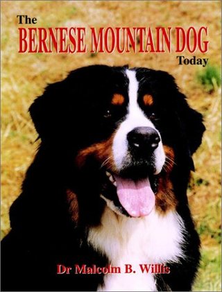 "The Bernese Mountain Dog Today" av Malcolm B. Willis