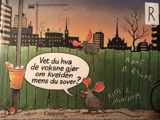 Vet du hva de voksne gjør om kvelden mens du sover?