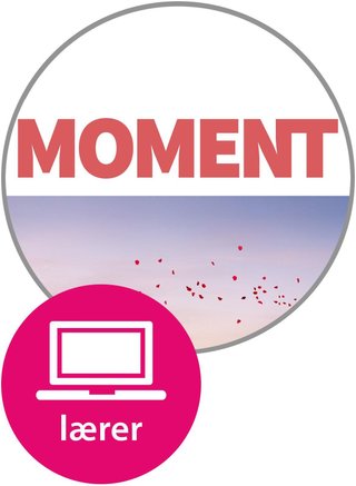 Moment vg3 - lærernettsted