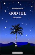 "God jul hvor er du? : julaftener jeg har levd, steder jeg har sovet og søsteren min : fortelling" av Beate Grimsrud
