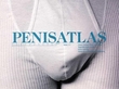 "Penisatlas" av Esben Benestad