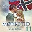 "Inn i kulden" av Salmund Kyvik