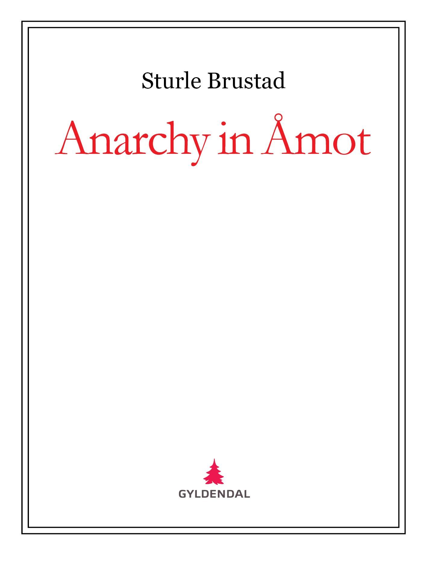 "Anarchy in Åmot" av Sturle Brustad