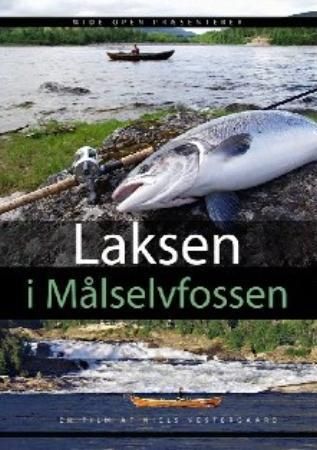 "Laksen i Målselvfossen" av Niels Vestergaard