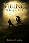 "Viking" av Tony Bakkejord