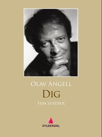 "Dig - fem stadier" av Olav Angell