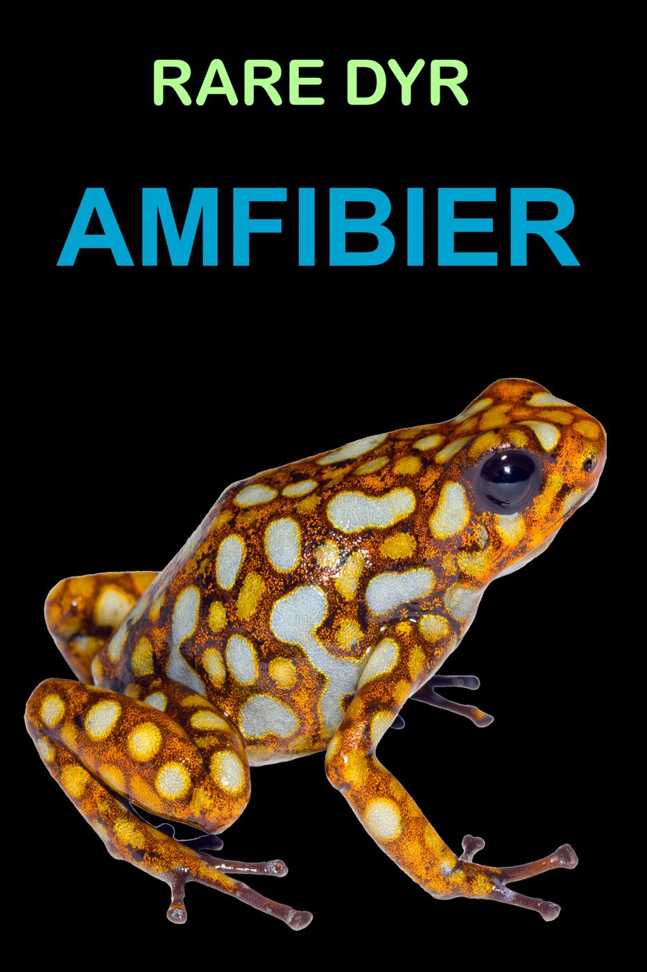 "Amfibier" av Edward Alan Kurtz