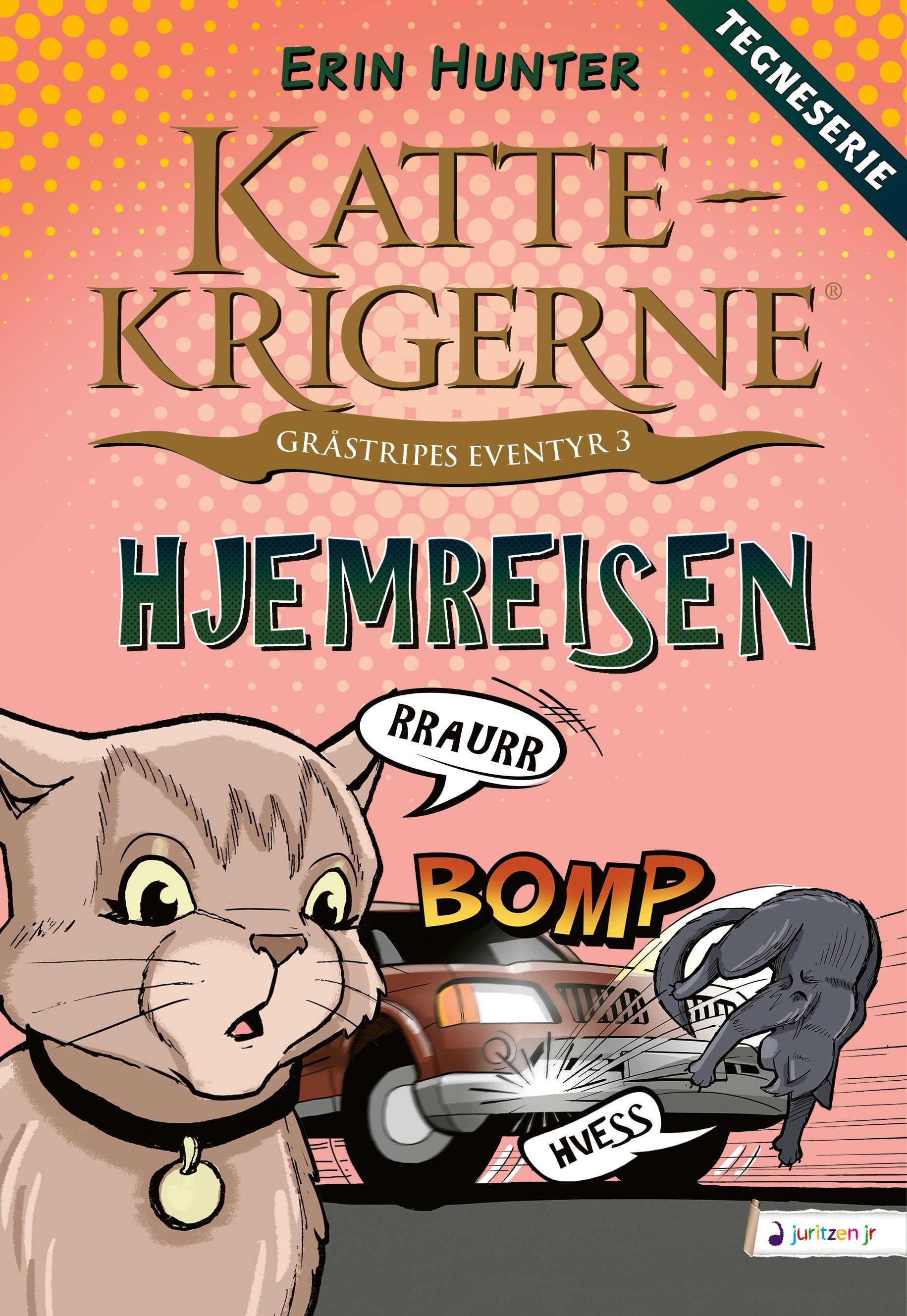 "Hjemreisen" av Erin Hunter