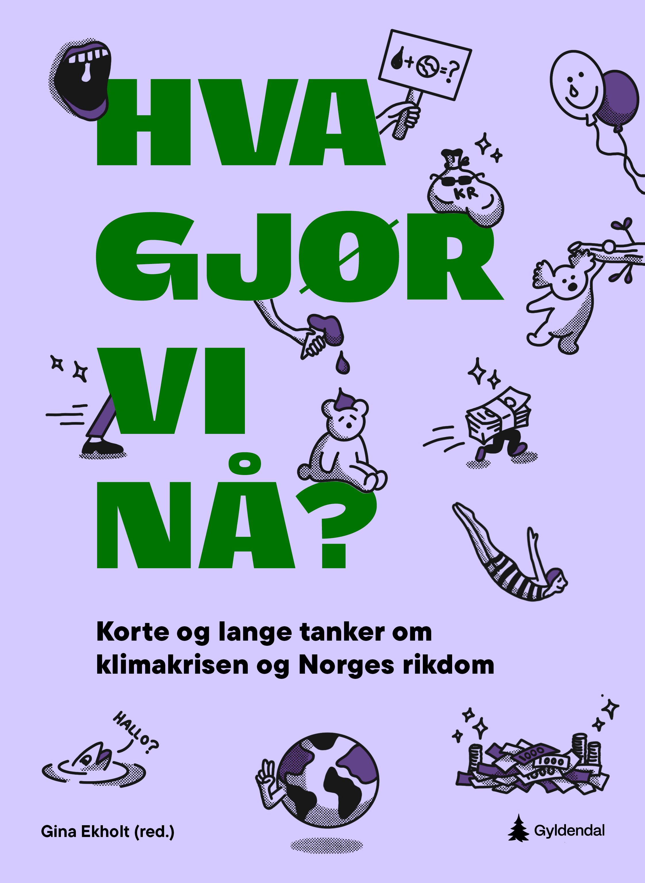 "Hva gjør vi nå? - korte og lange tanker om klimakrisen og Norges rikdom" av Gina Ekholt
