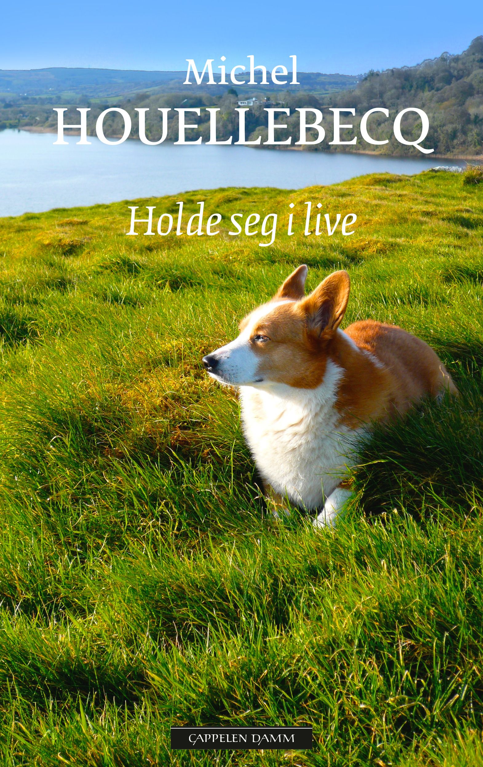 "Holde seg i live" av Michel Houellebecq