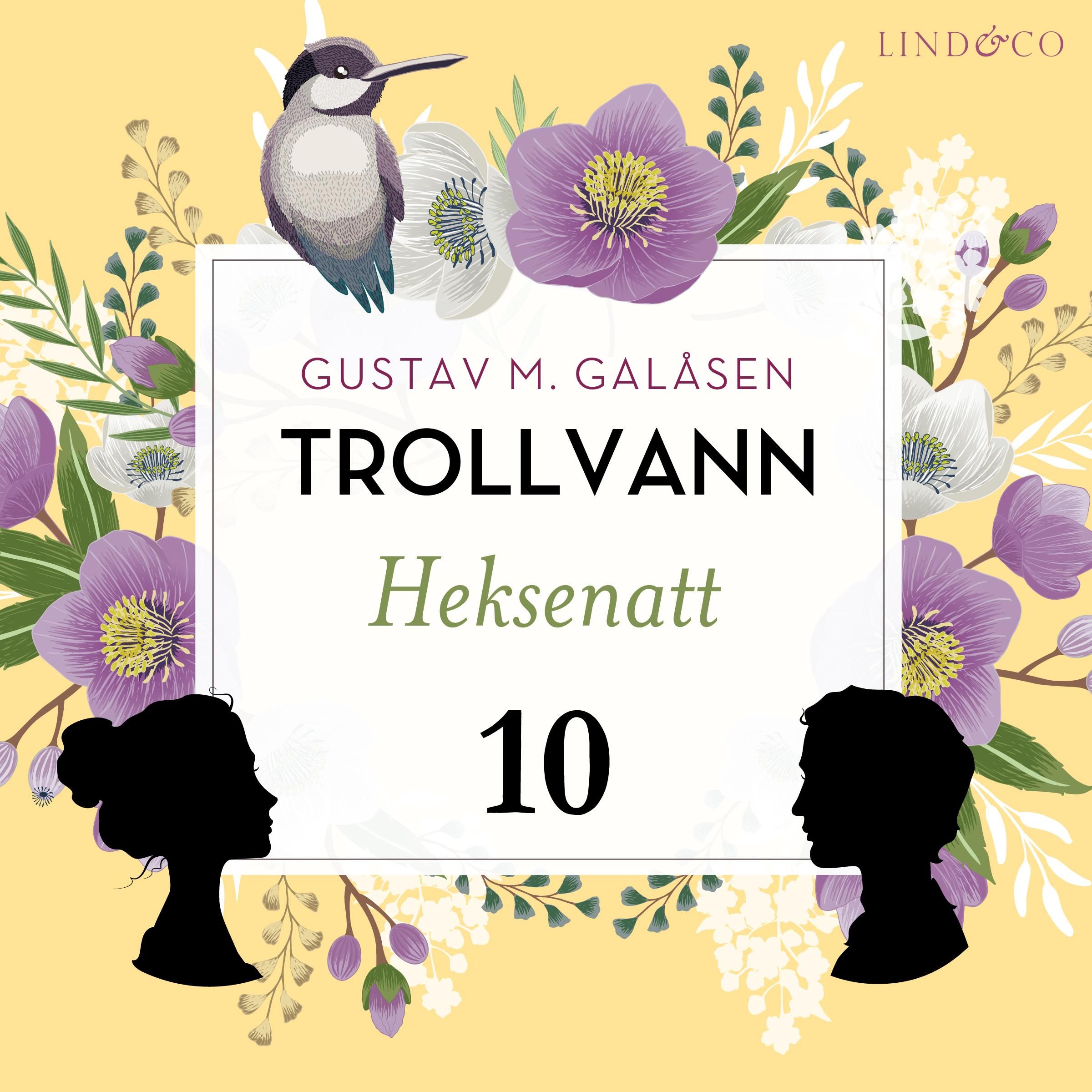 "Heksenatt" av Gustav M. Galåsen