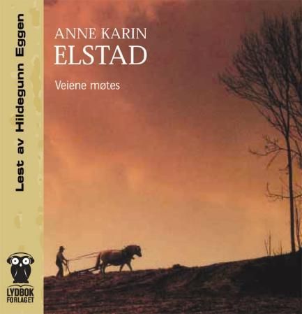 "Veiene møtes" av Anne Karin Elstad