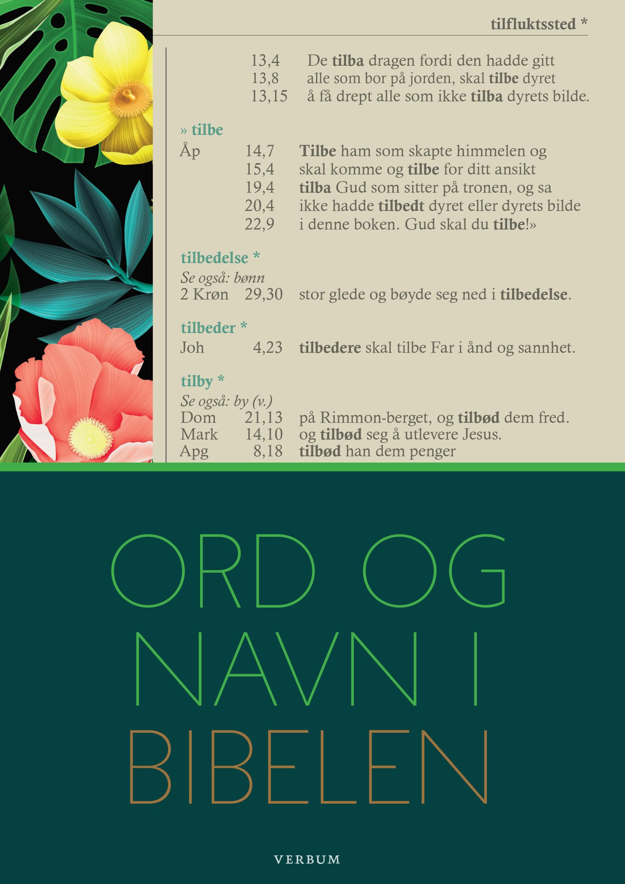 "Ord og navn i Bibelen" av Ingvild Røsok