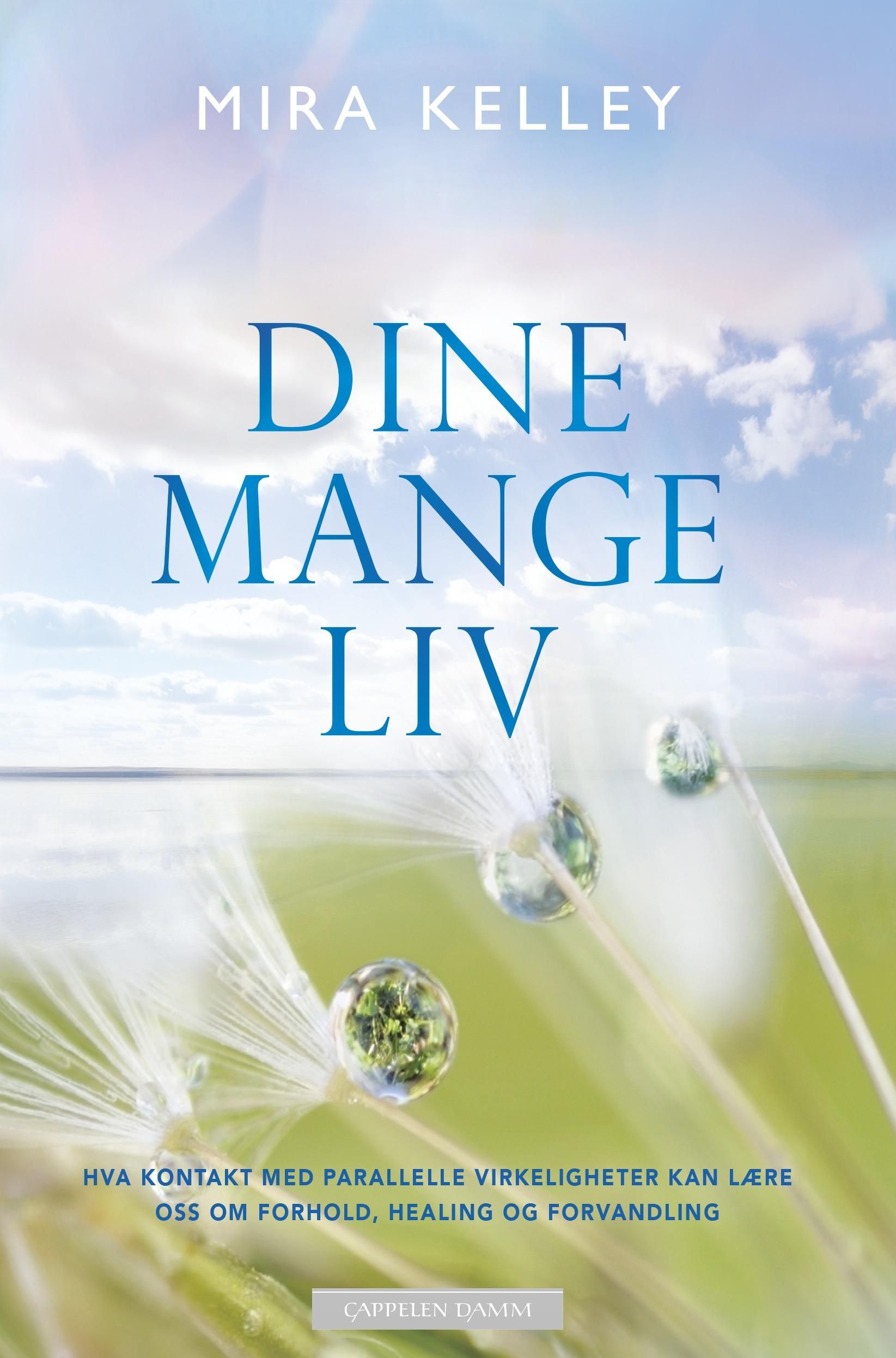 "Dine mange liv - hva kontakt med parallelle virkeligheter kan lære oss om forhold, healing og forvandling" av Mira Kelley