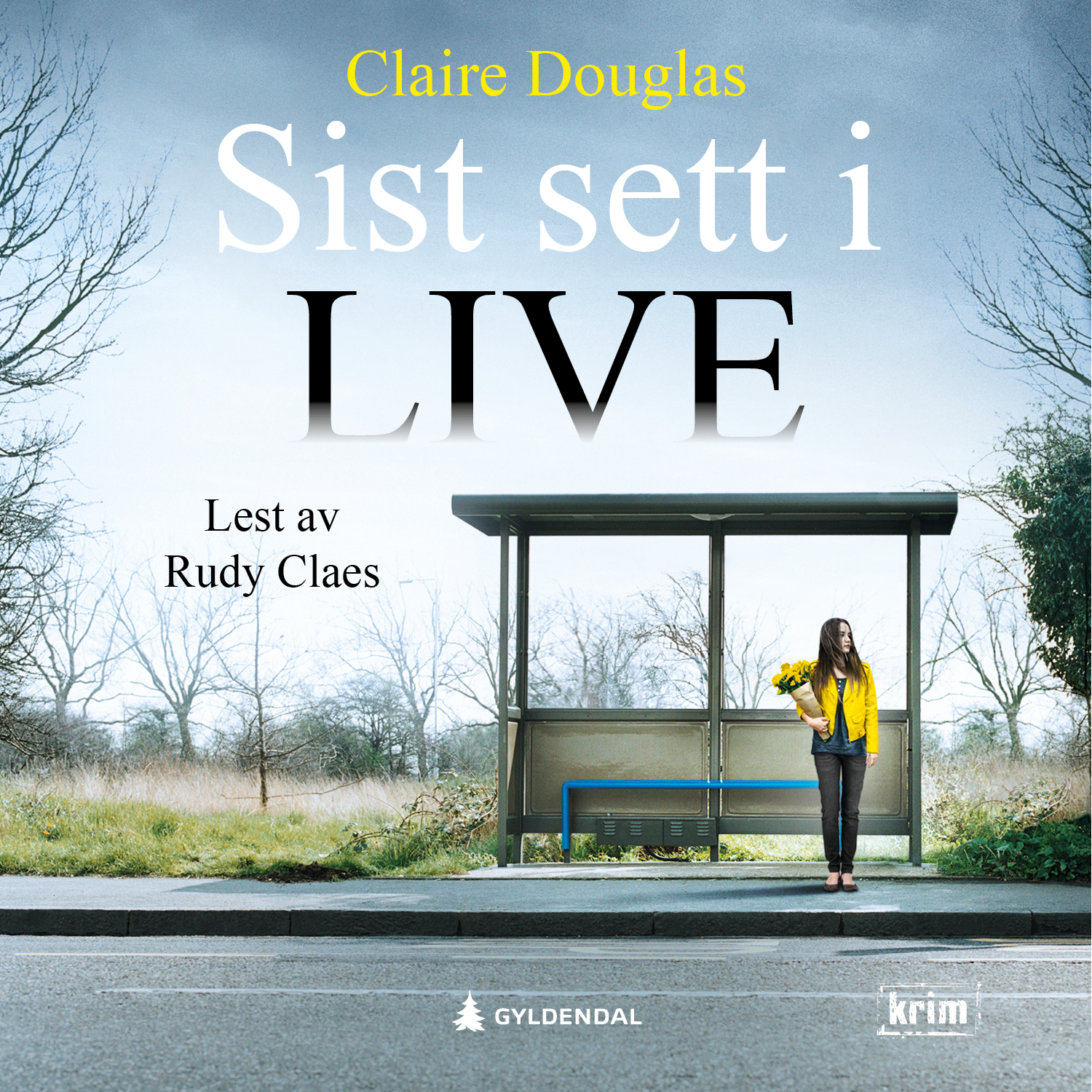 "Sist sett i live" av Claire Douglas