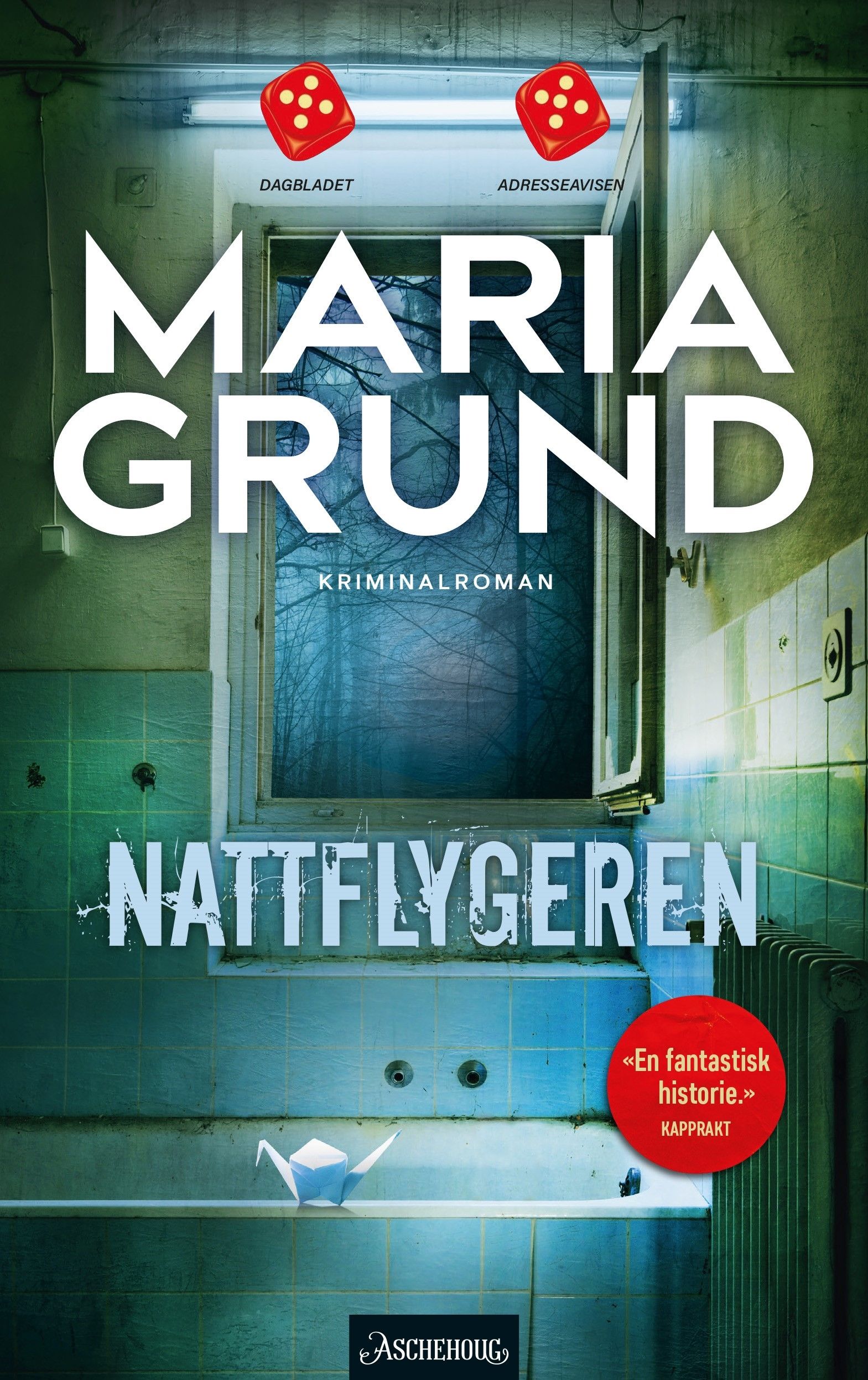 "Nattflygeren" av Maria Grund