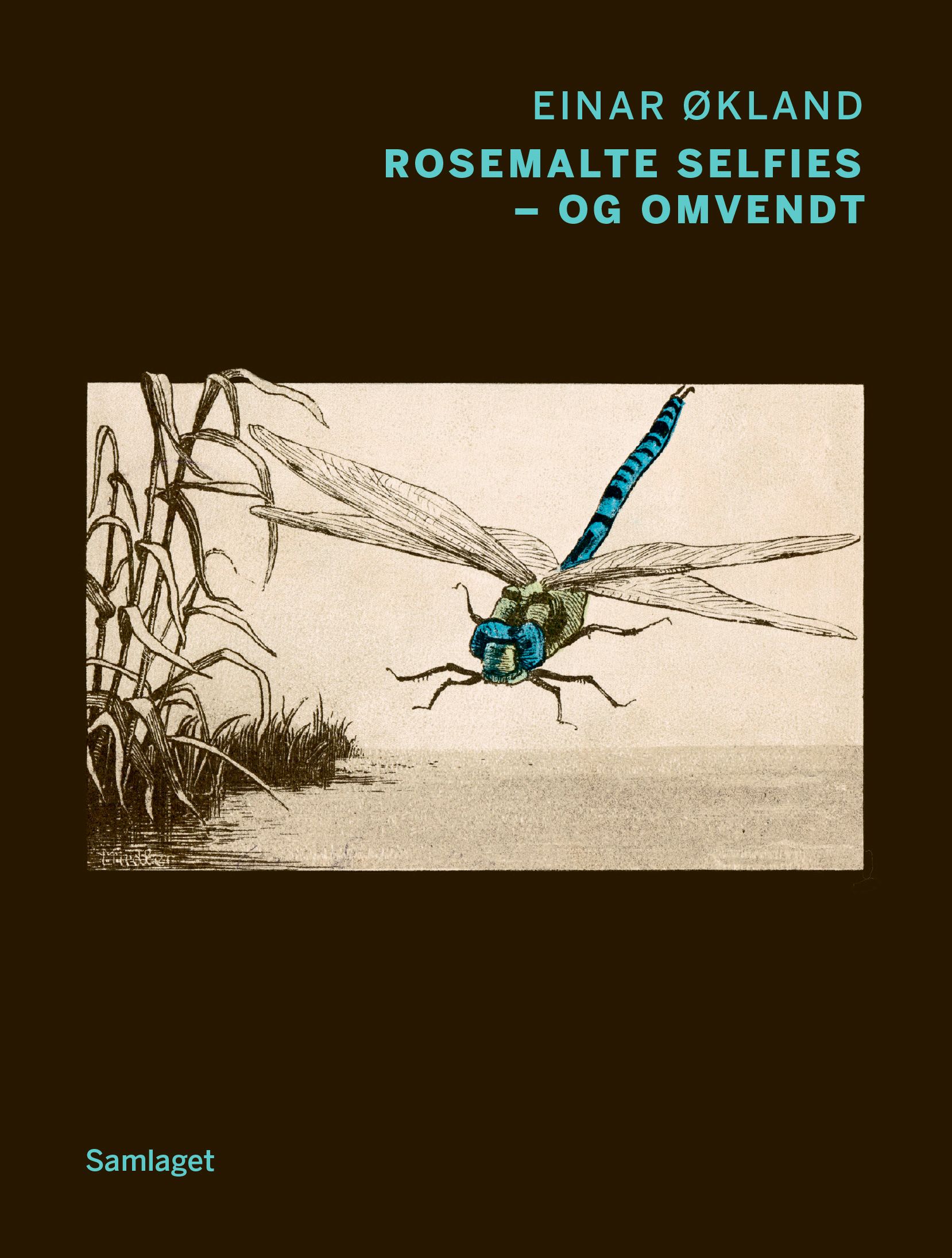 "Rosemalte selfies - og omvendt - dikt" av Einar Økland