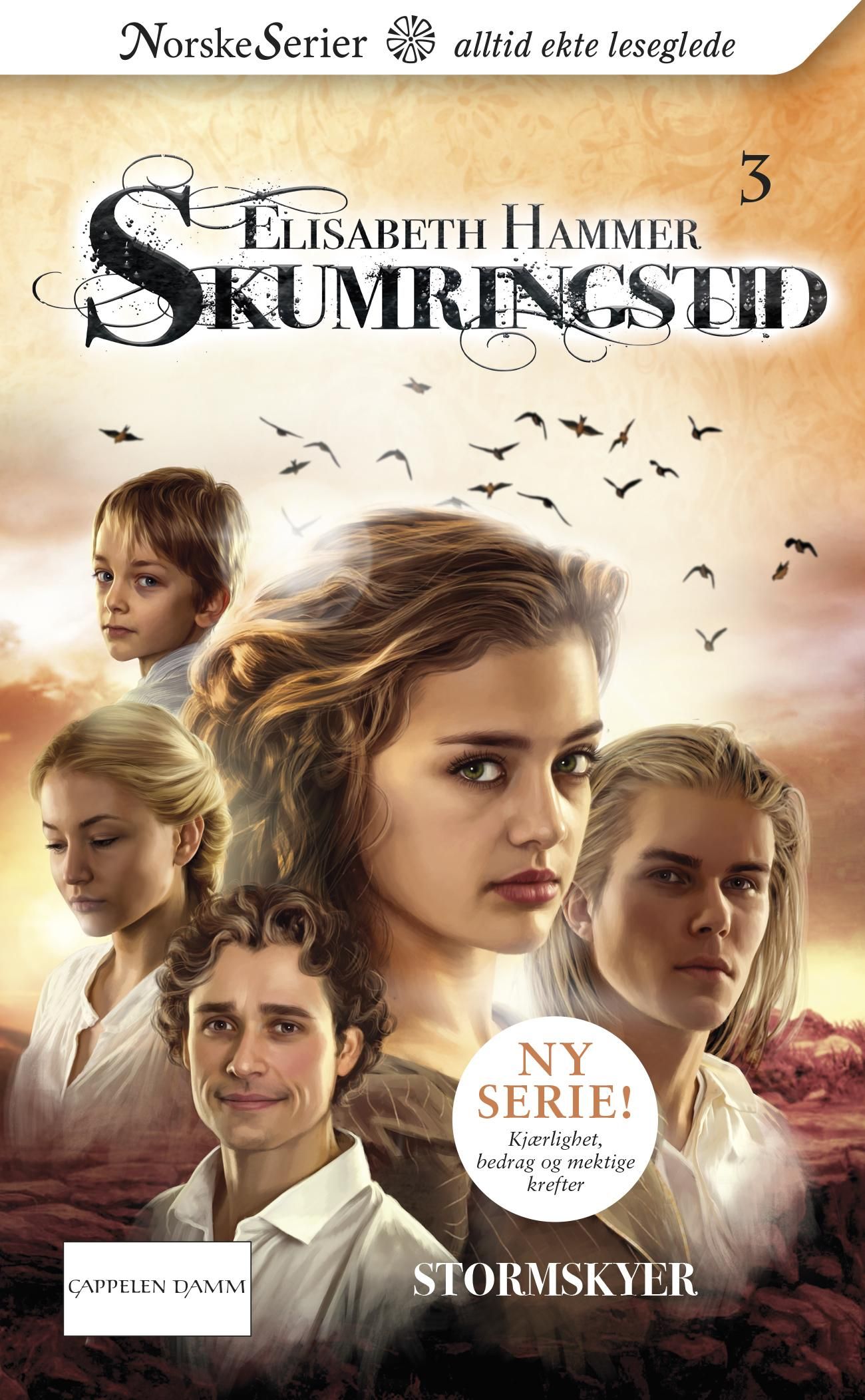 "Stormskyer" av Elisabeth Hammer
