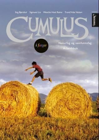 "Cumulus 4 - arbeidsbok : naturfag og samfunnsfag" av Stig Bjørshol