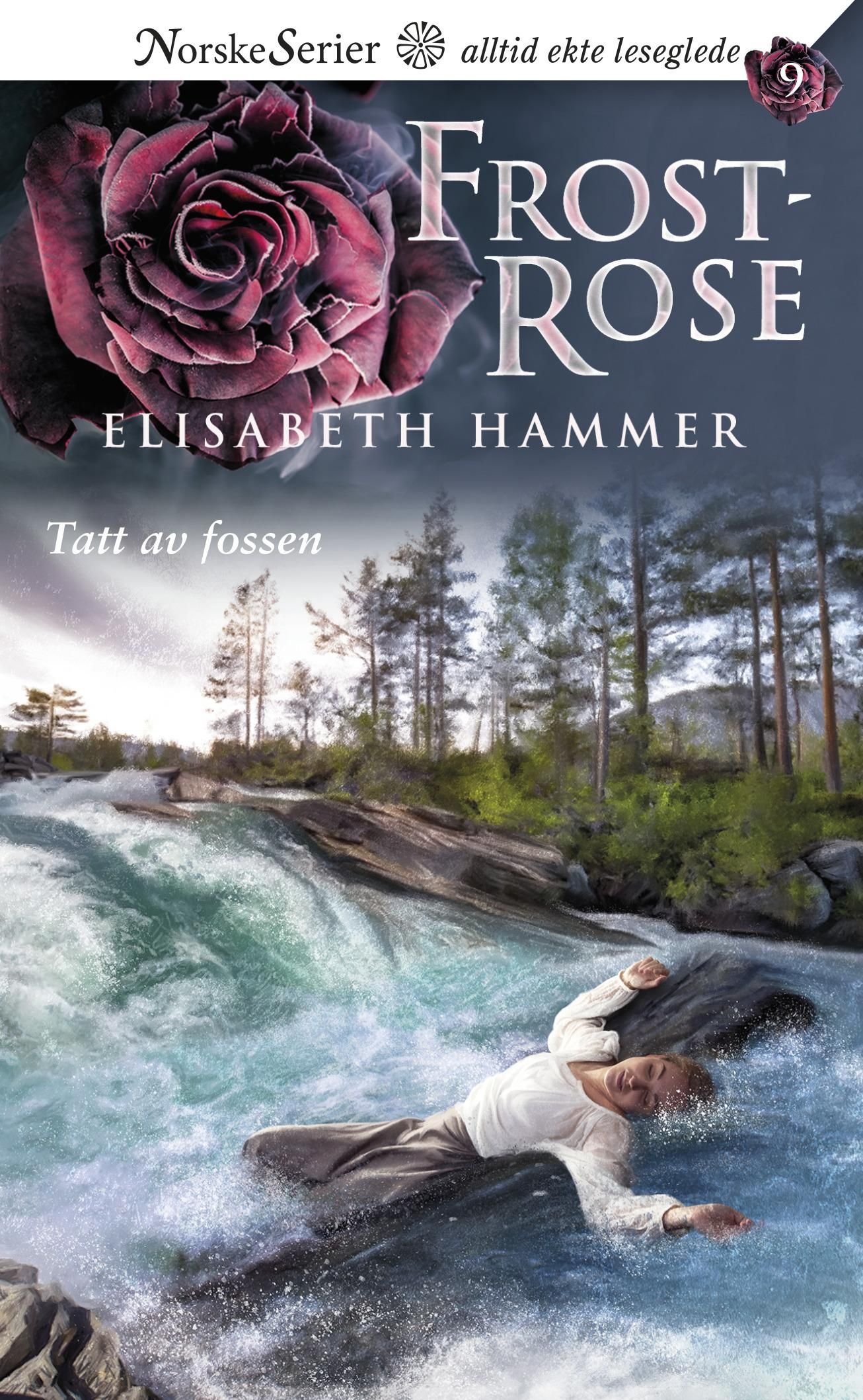 "Tatt av fossen" av Elisabeth Hammer