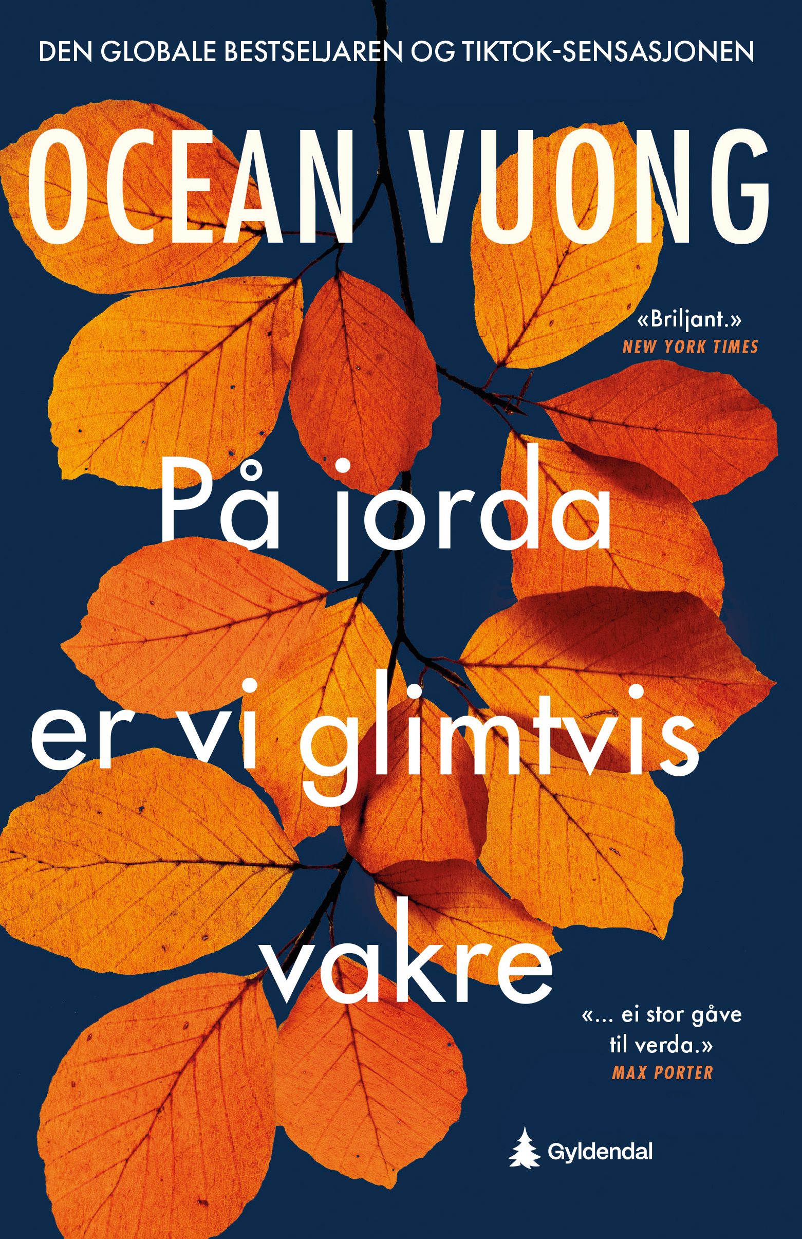 "På jorda er vi glimtvis vakre" av Ocean Vuong