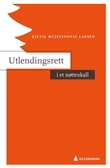 "Utlendingsrett i et nøtteskall" av Kjetil Mujezinović Larsen