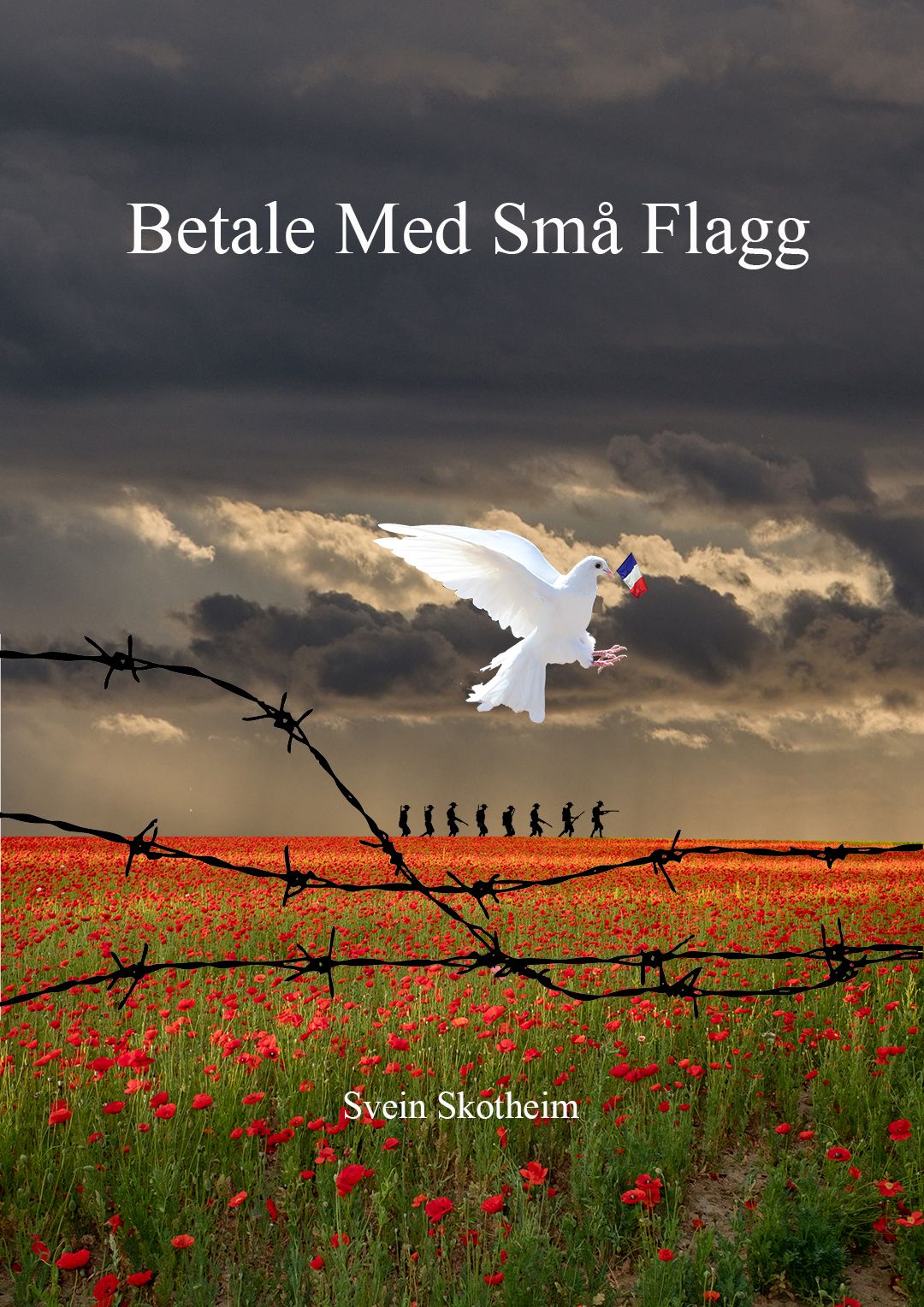"Betale med små flagg" av Svein Skotheim