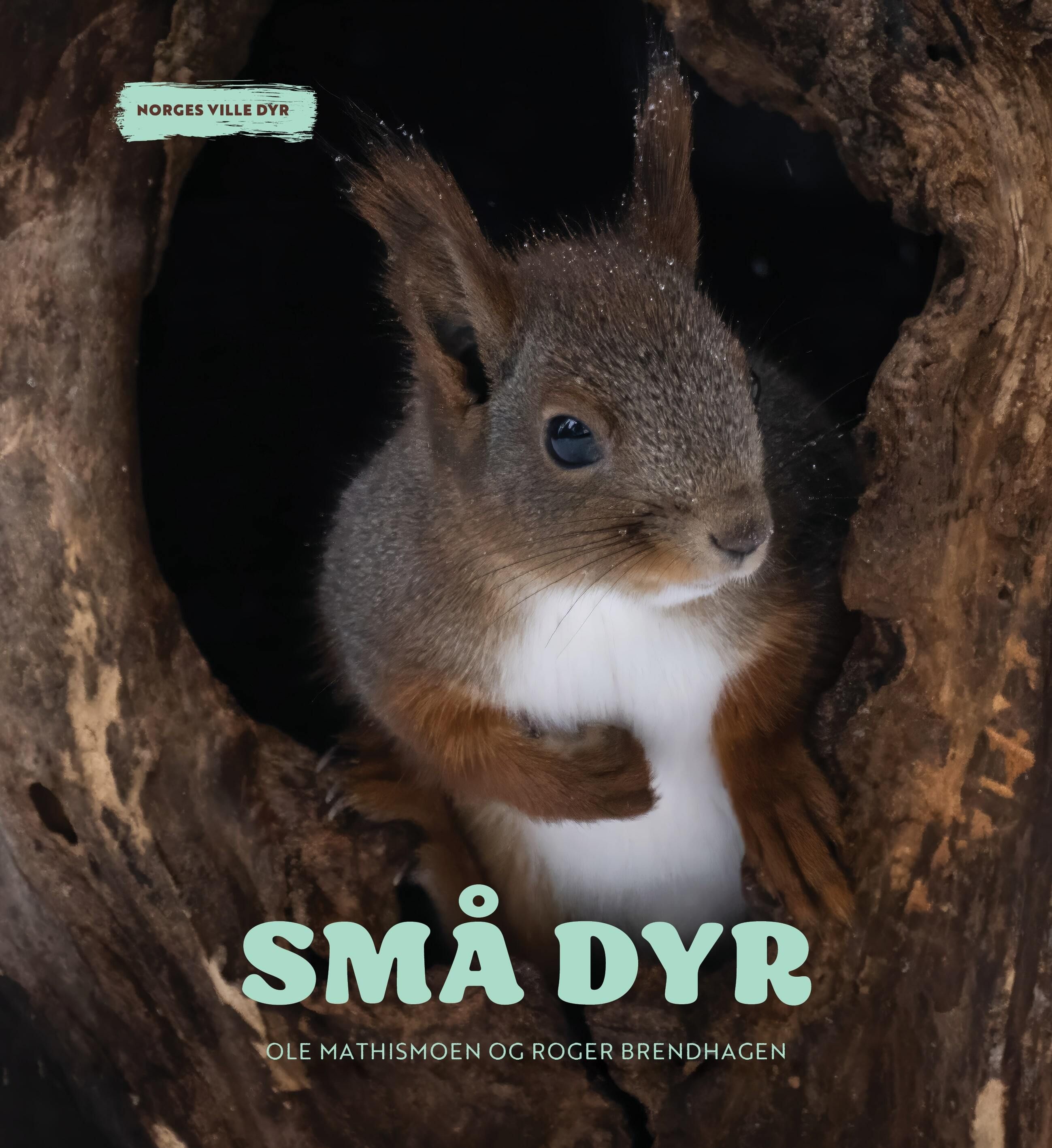 "Små dyr" av Ole Mathismoen