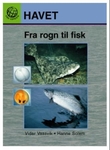 "Havet 1" av Vidar Vassvik