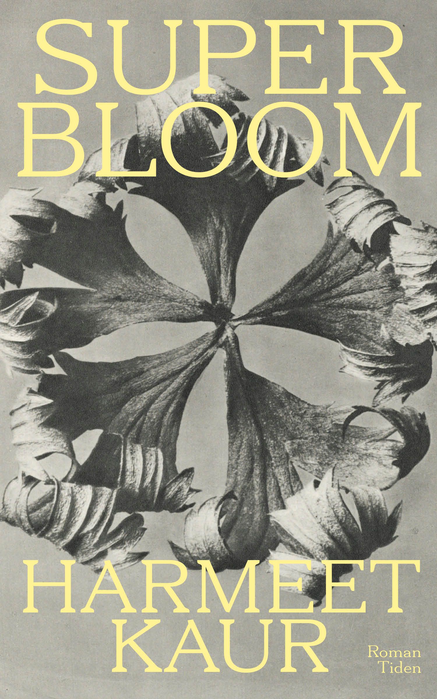 "Superbloom" av Harmeet Kaur