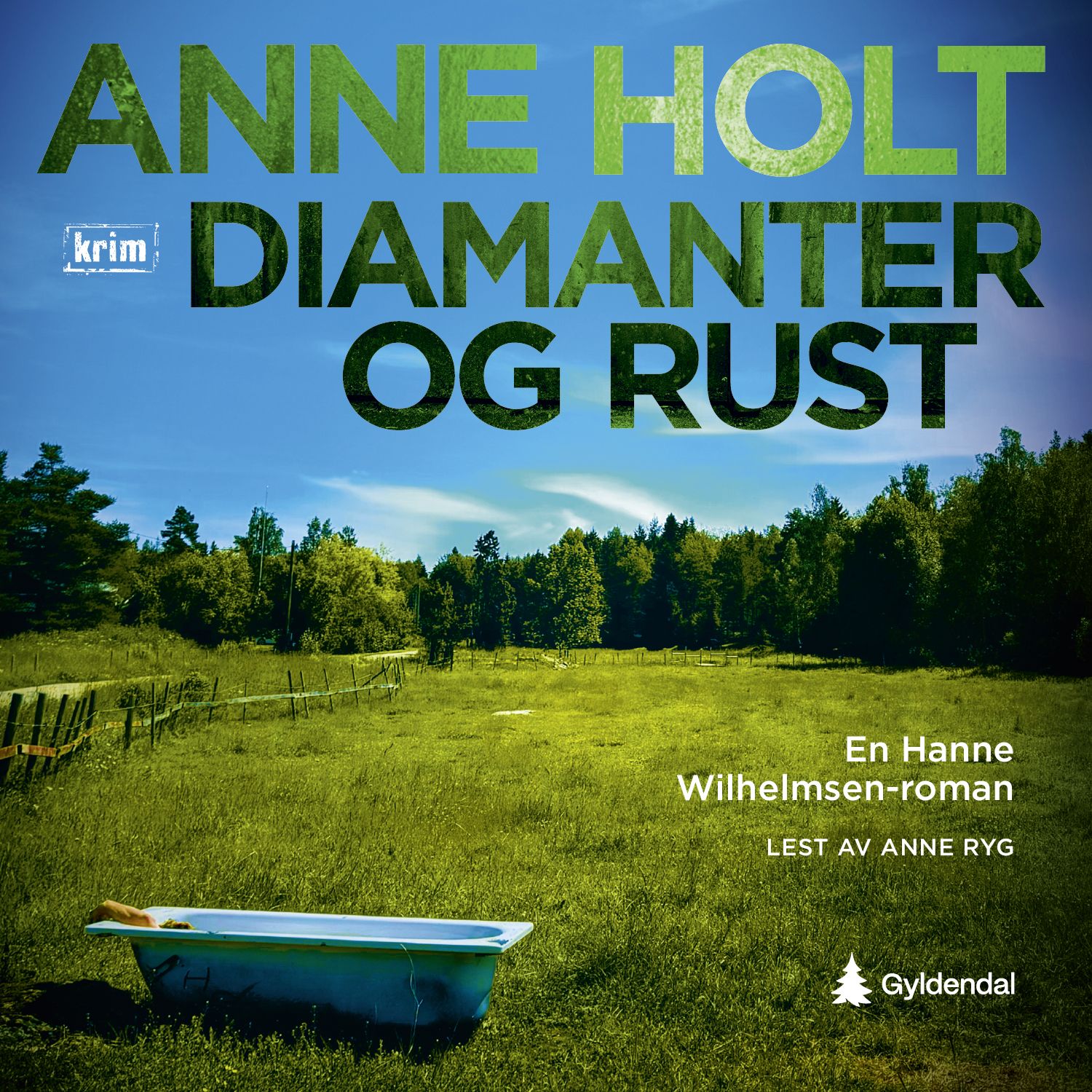 "Diamanter og rust" av Anne Holt