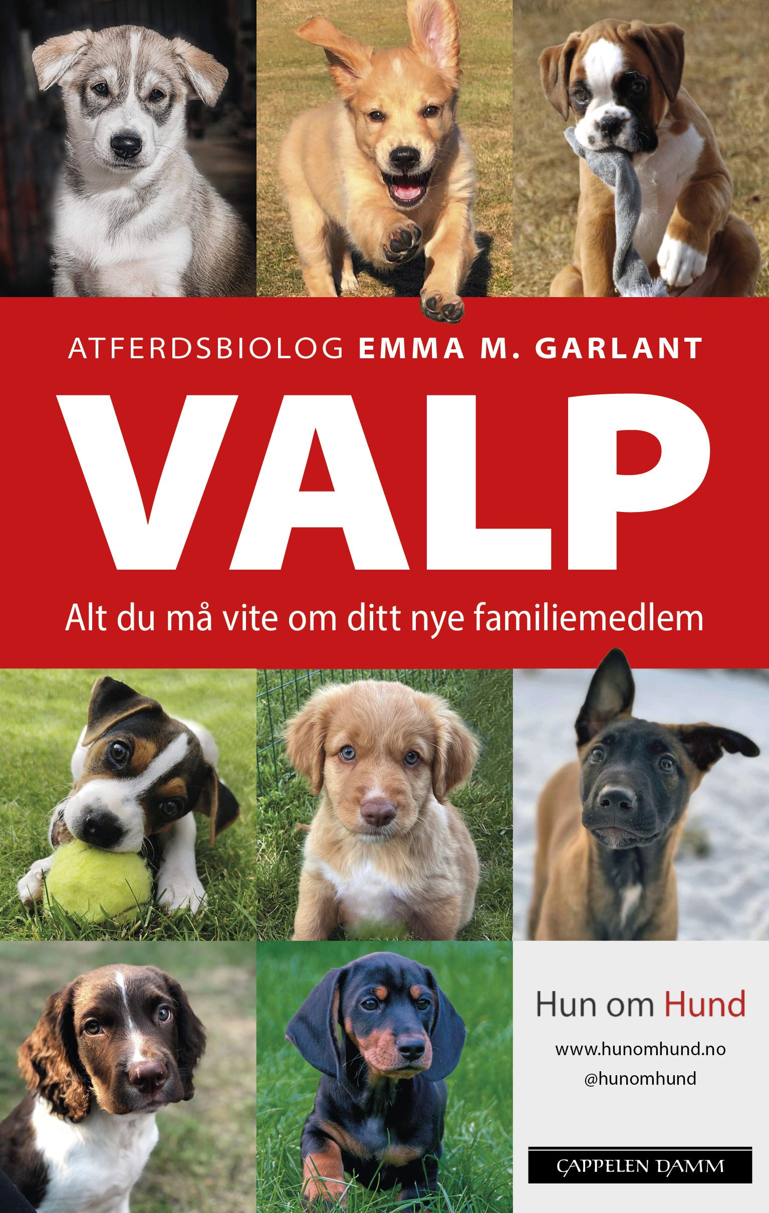 "Valp - alt du må vite om ditt nye familiemedlem" av Emma M. Garlant
