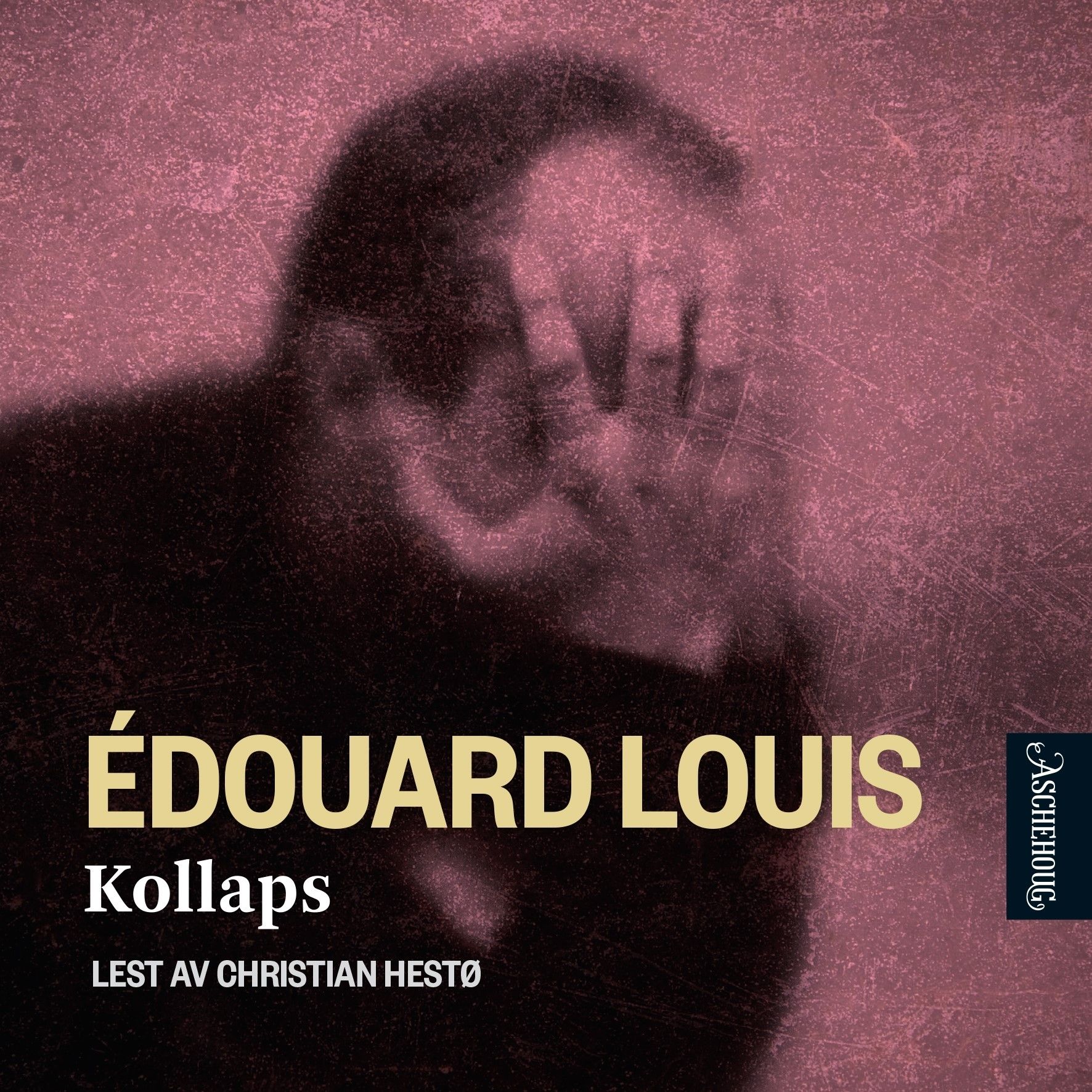 "Kollaps" av Édouard Louis