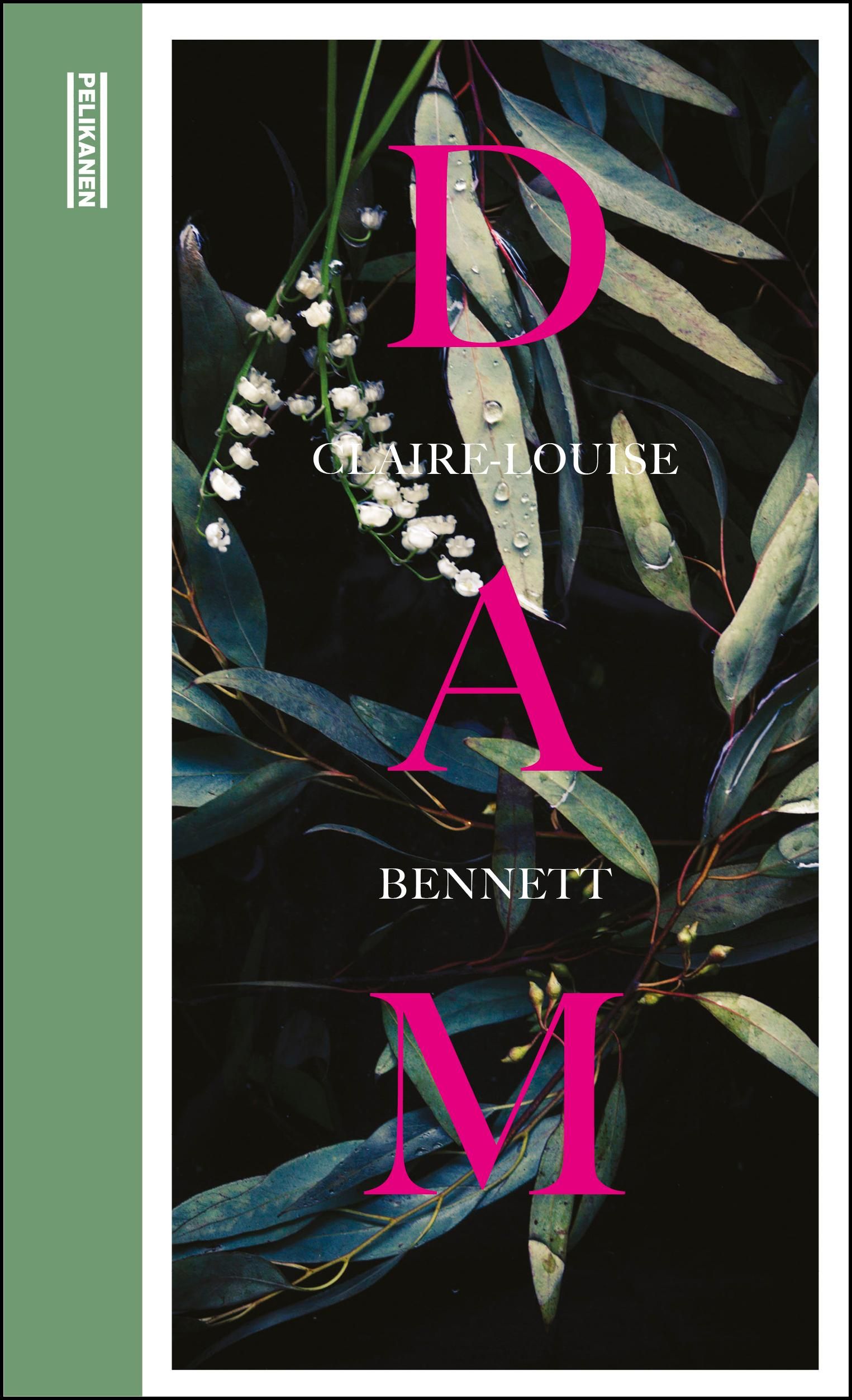 "Dam" av Claire-Louise Bennett