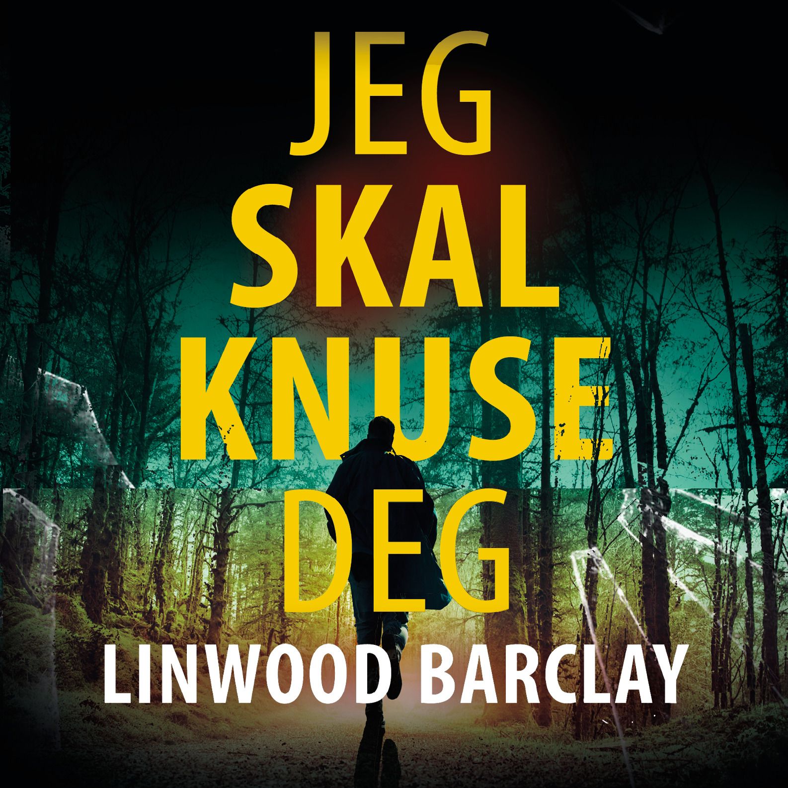 "Jeg skal knuse deg" av Linwood Barclay