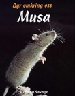 "MUSA" av Stephen Savage