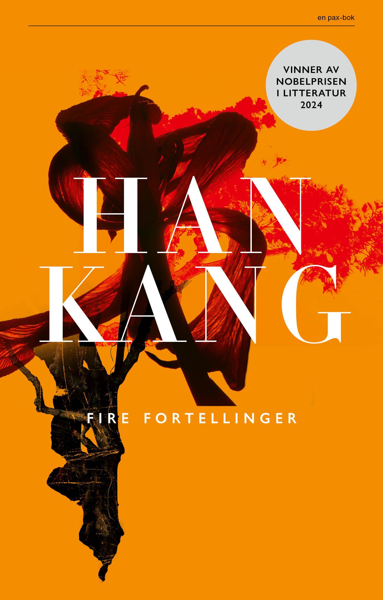 "Fire fortellinger" av Kang Han