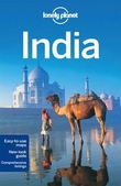"India ; India" av Joe Bindloss
