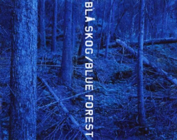 "Bl√• skog" av Morten Andersen