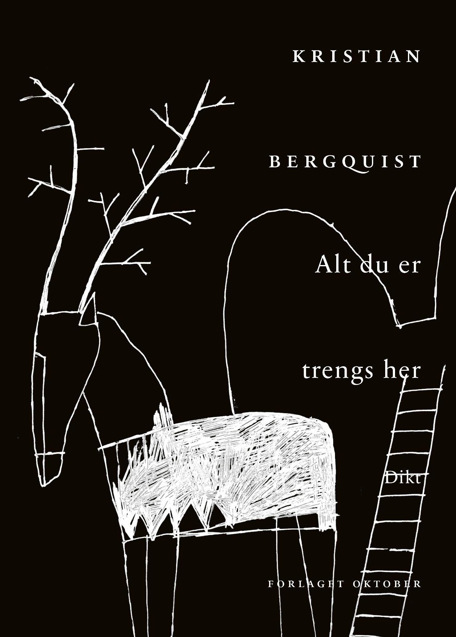 "Alt du er trengs her - dikt" av Kristian Bergquist