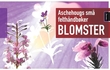"Blomster" av Tore Fonstad