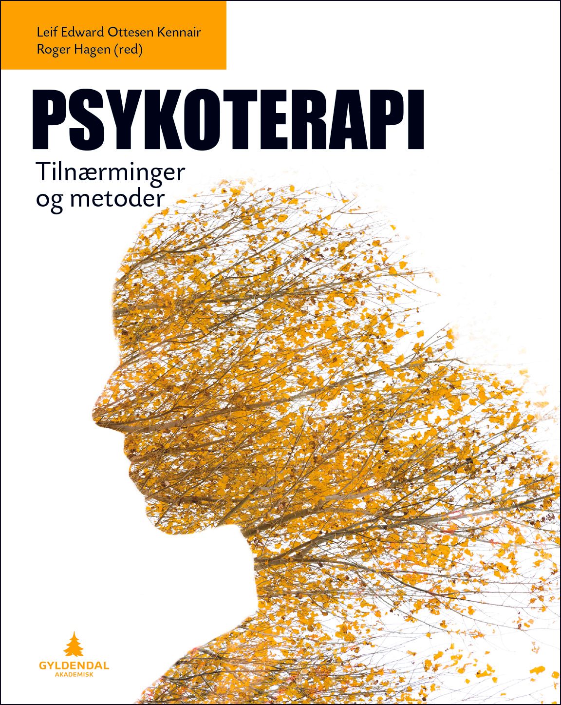 "Psykoterapi - tilnærminger og metoder" av Leif Edward Ottesen Kennair