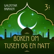 "Boken om Tusen og en natt - 3" av Waldemar Brøgger