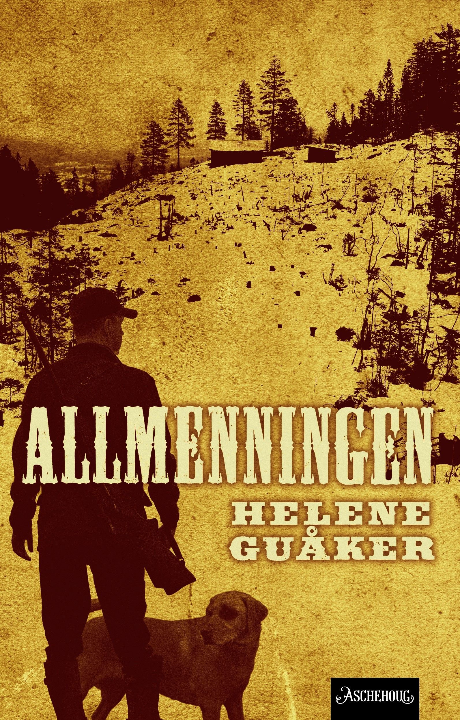 "Allmenningen - roman" av Helene Guåker