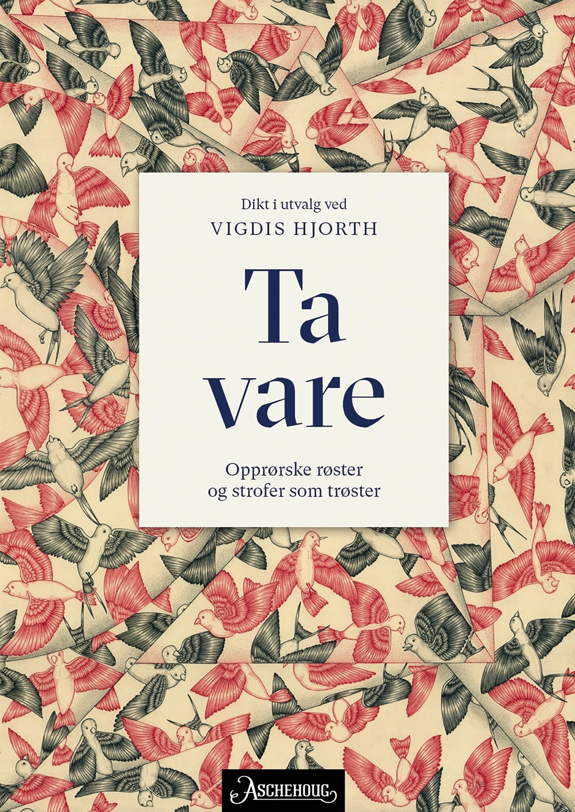"Ta vare - opprørske røster og strofer som trøster" av Vigdis Hjorth