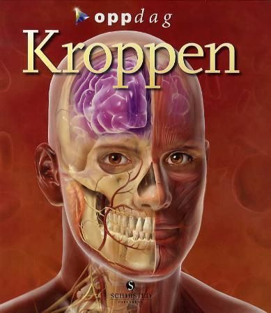 "Kroppen" av Linda Calabresi