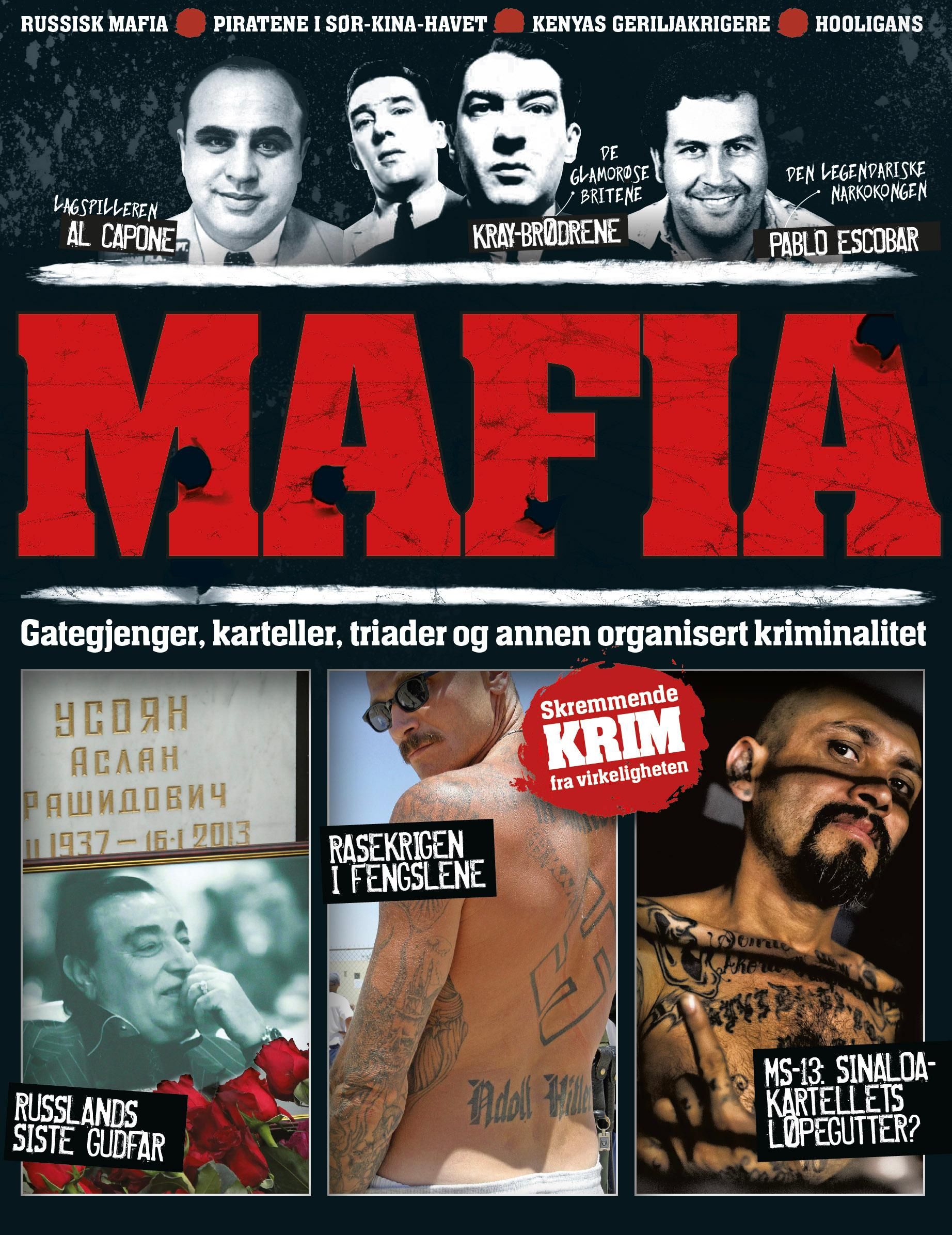 "Mafia - gategjenger, karteller, triader og annen organisert kriminalitet" av Line Therkelsen