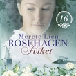 "Sviket" av Merete Lien