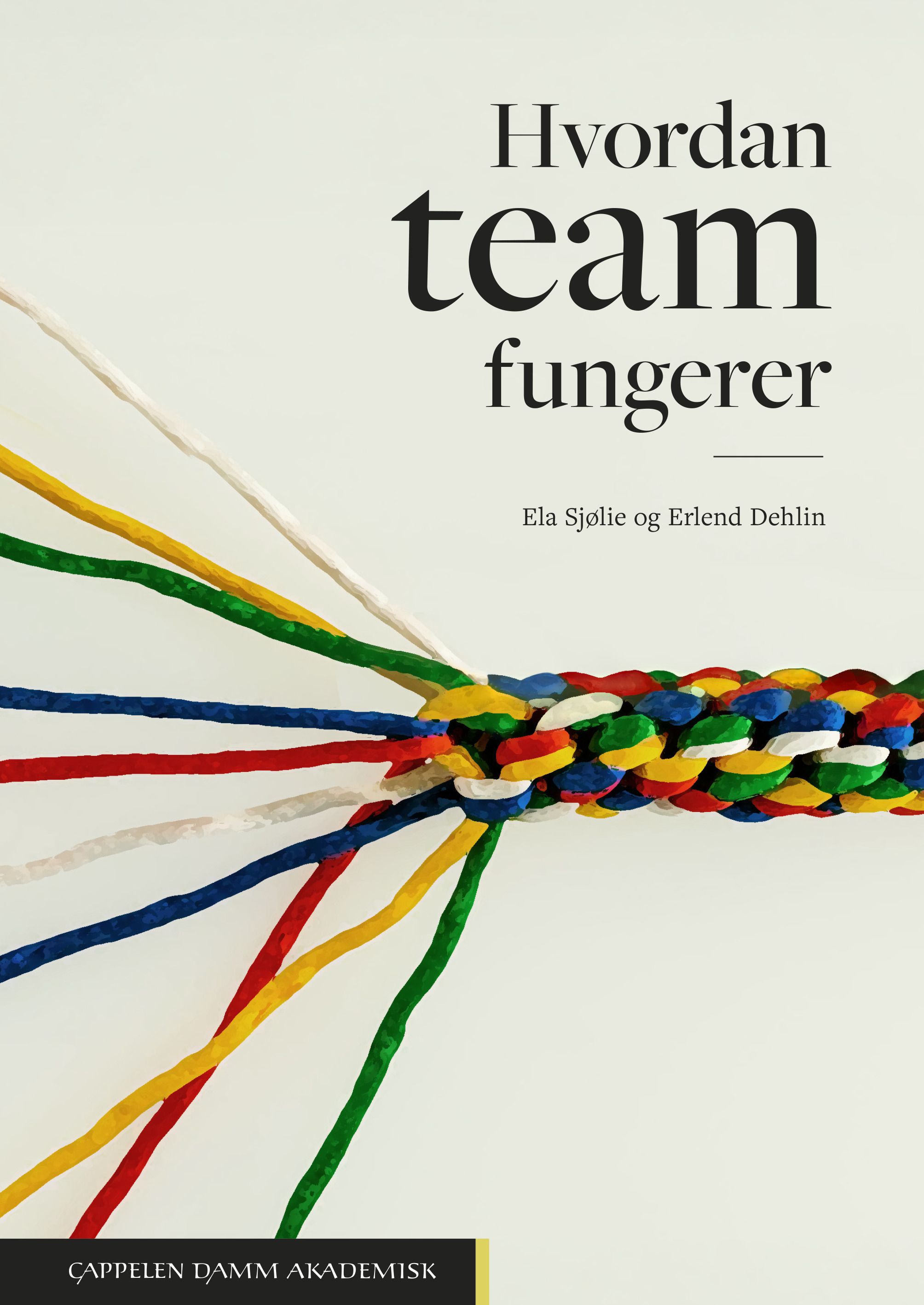 "Hvordan team fungerer - fra ekspert i team til ekspertteam" av Ela Sjølie
