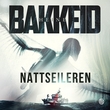 "Nattseileren" av Heine T. Bakkeid